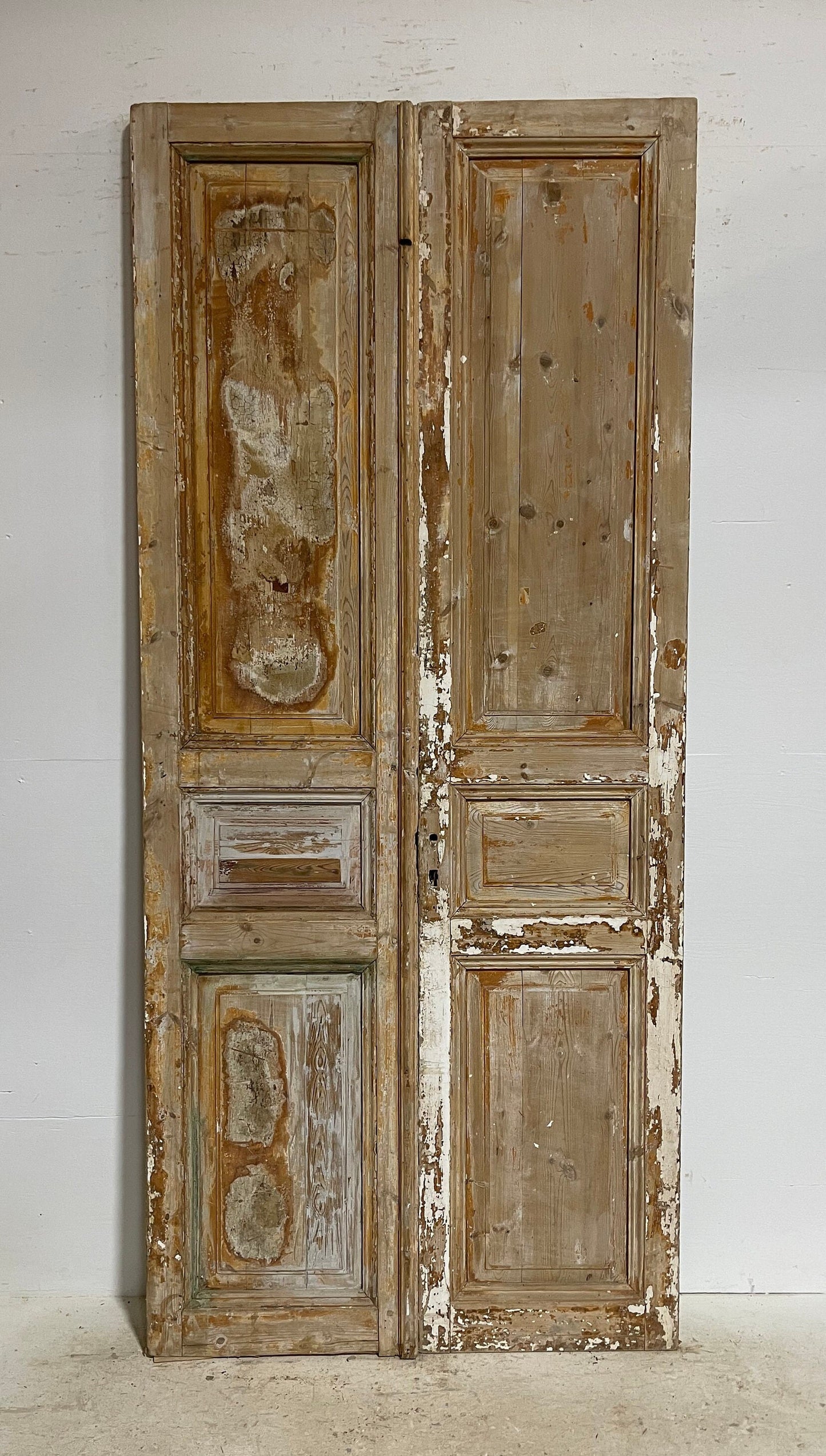 Antique French panel doors (98.5x43) G0128s