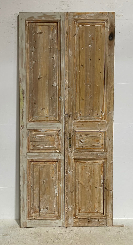 Antique French panel doors (98.5x43.25) G0141s