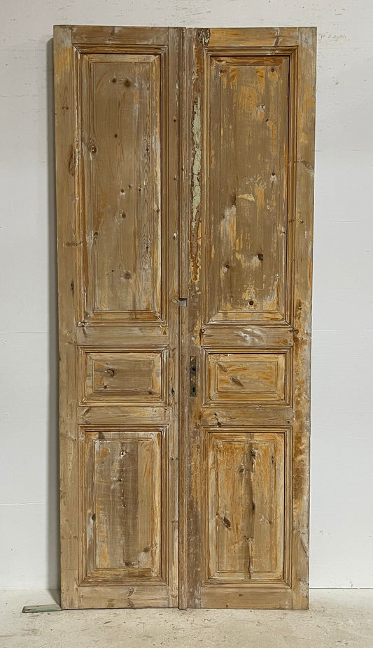 Antique French panel doors (98.5x43) G0146s