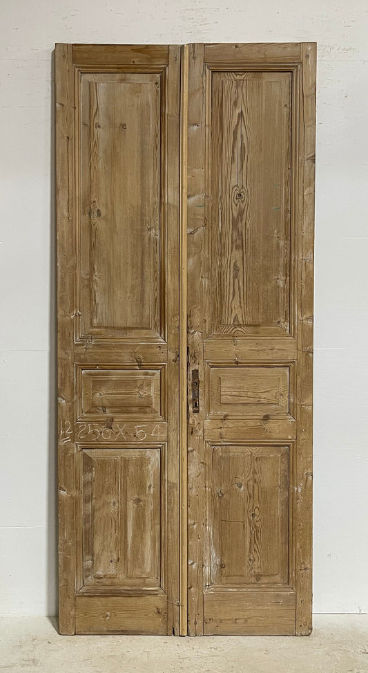 Antique French panel doors (98x42.75) G0148s