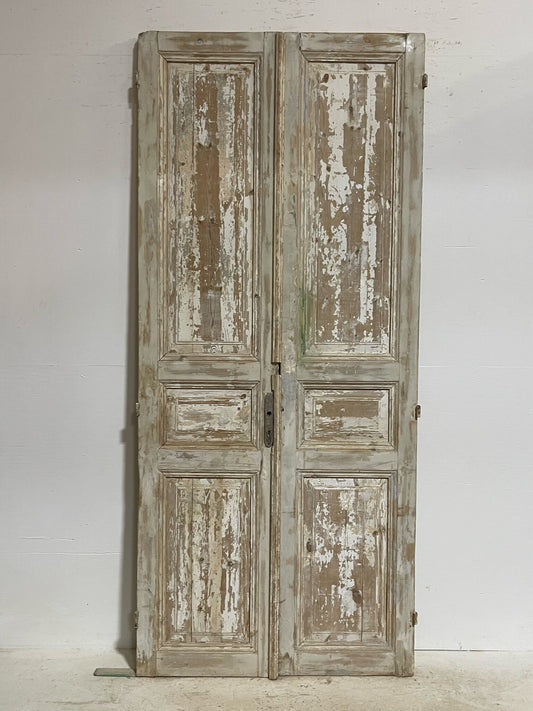 Antique French doors (98.5X43.25) G0106