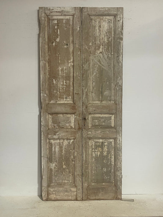 Antique French panel doors (103.5x43.75) G0152s