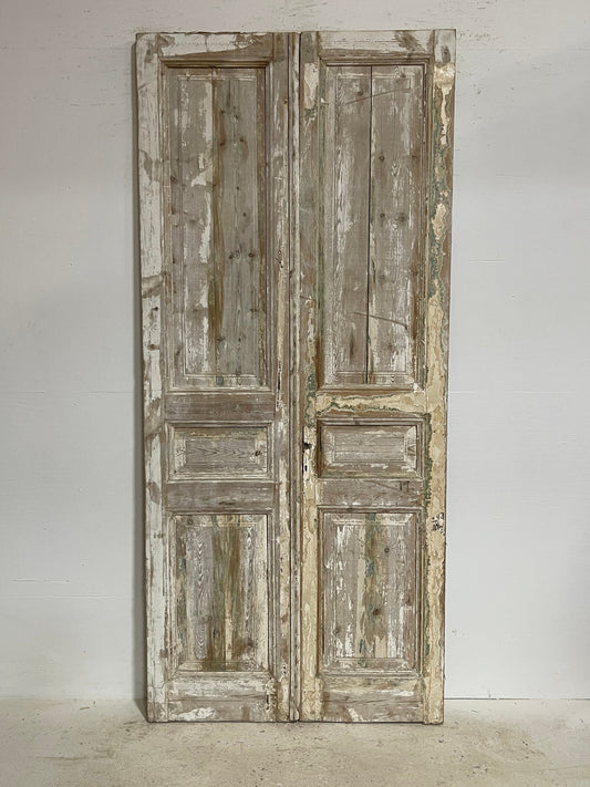 Antique French panel doors (98x43.75) G0156s