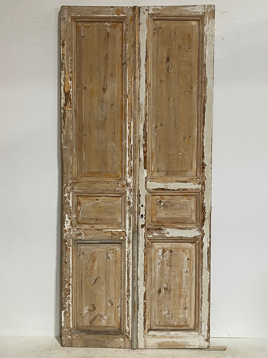 Antique French panel doors (98.5x43.5) G0158s