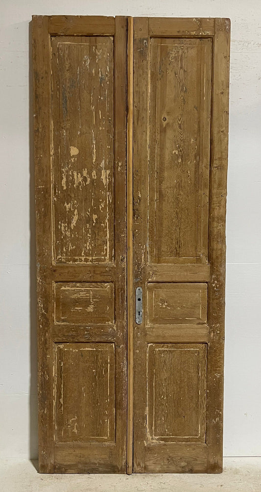 Antique French panel doors (102.5x43.25) G0178s