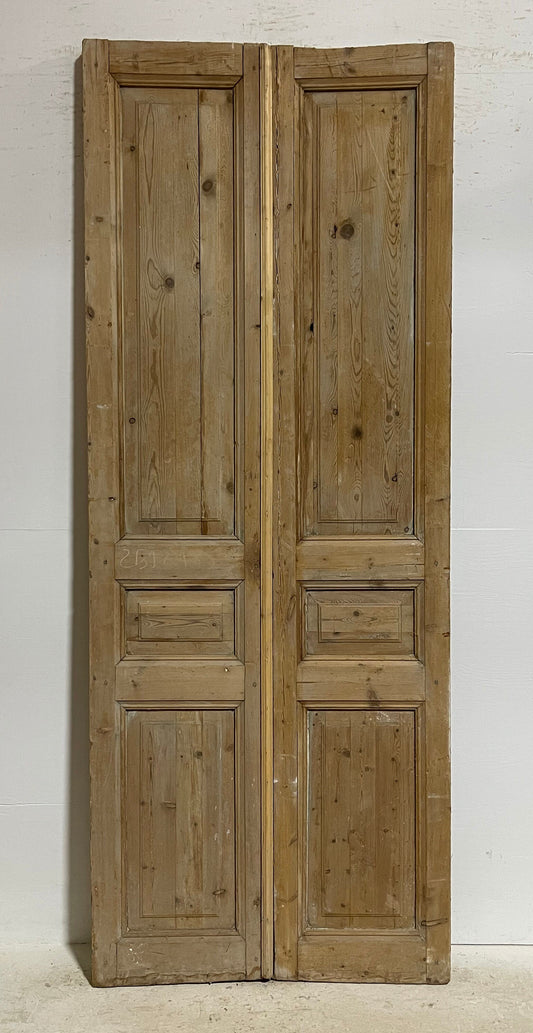 Antique French panel doors (98.5x38) G0179s