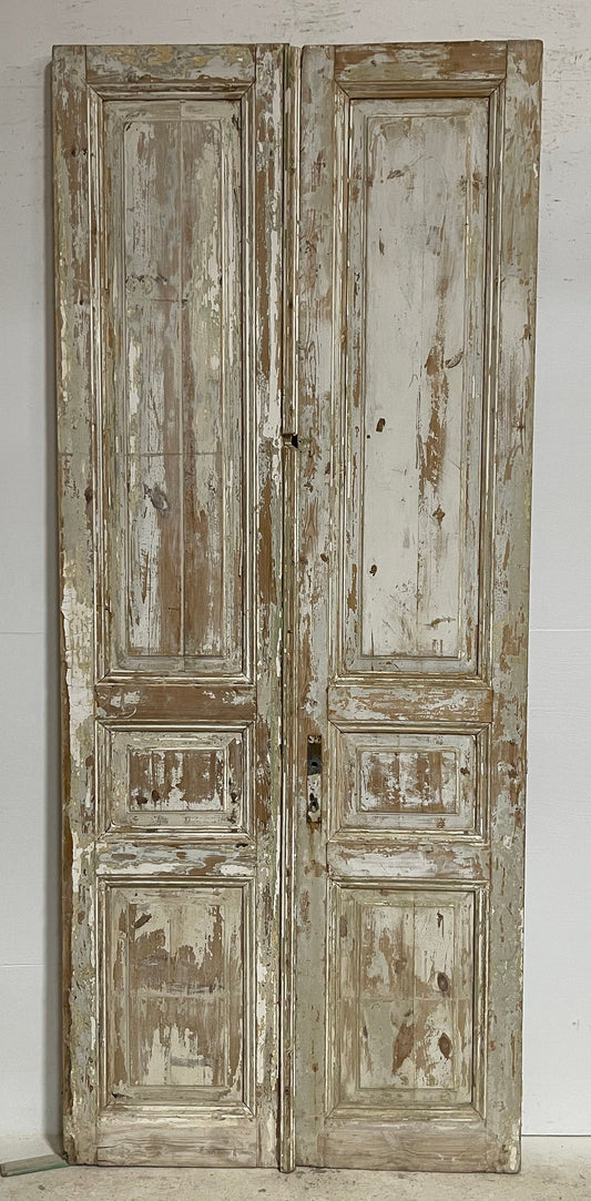 Antique French panel doors (98x41.25) G0188s