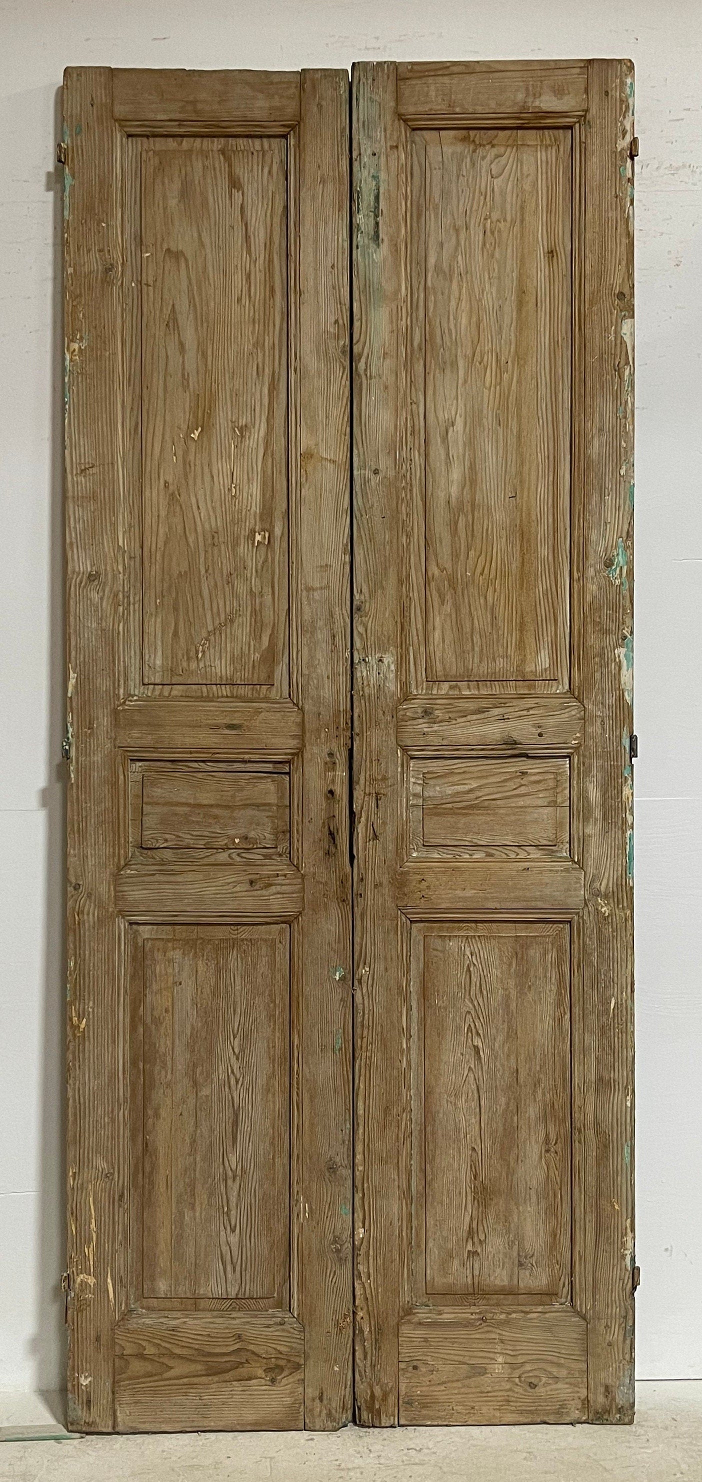 Antique French panel doors (105x44) G0183s