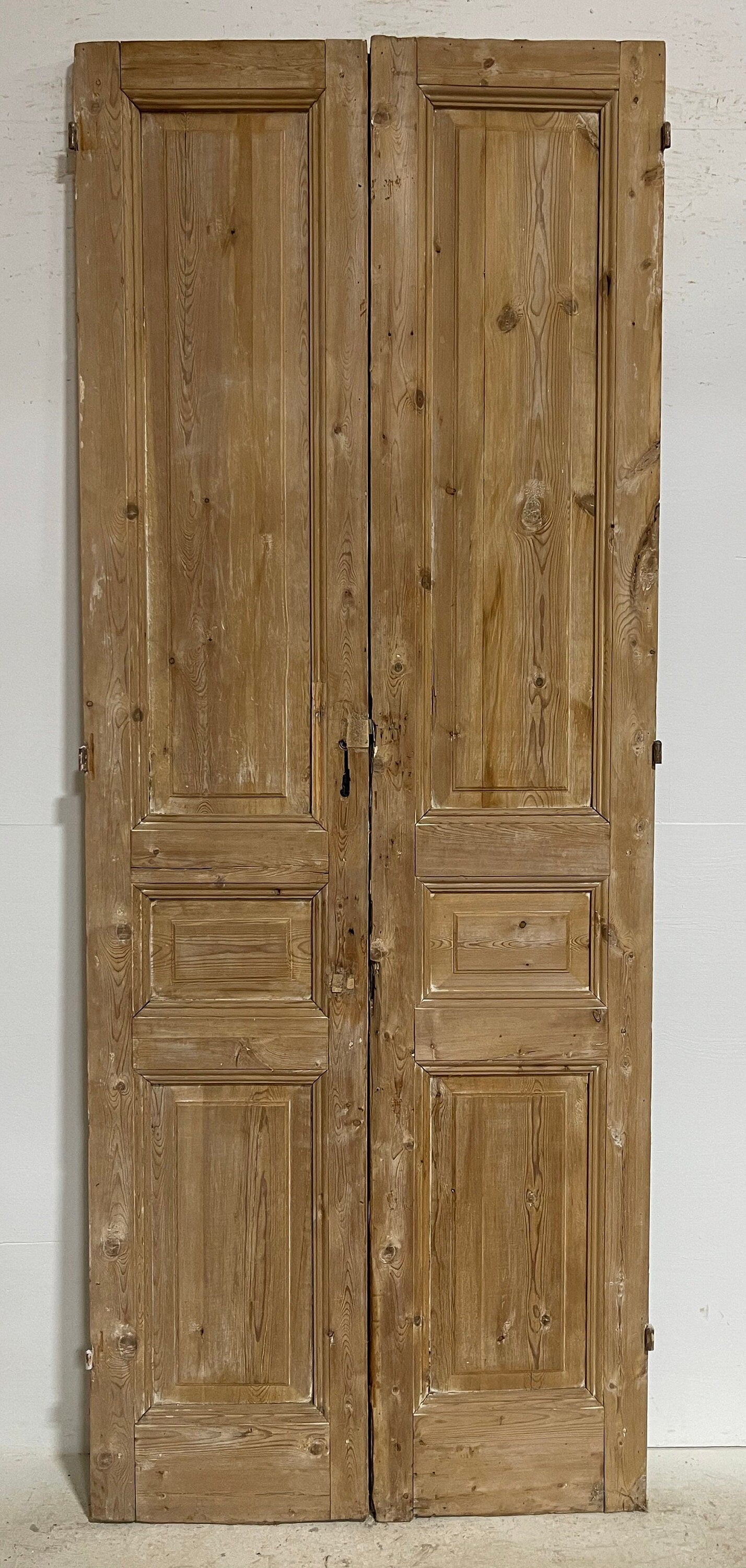 Antique French panel doors (100.5x39) G0194s