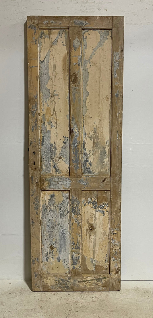 Antique French panel door (87x29.75) G0203s