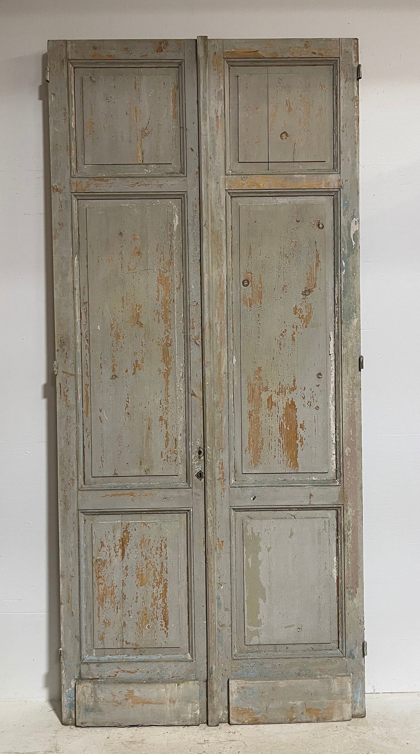 Antique French panel doors (116.25x52.75) G0063s