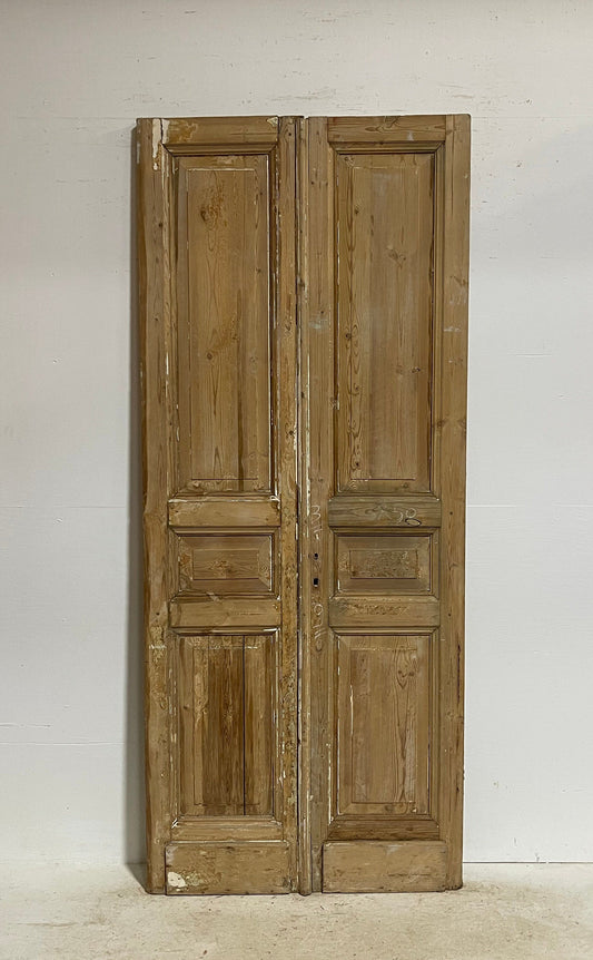 Antique French panel doors (95.5x40) G0069s