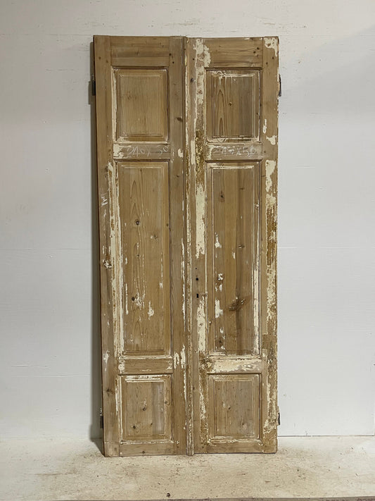 Antique French panel doors (95x40.5) G0072s