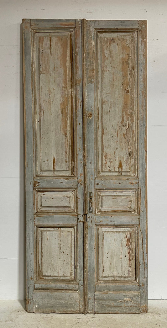 Antique French panel doors (104.5x44) G0090s