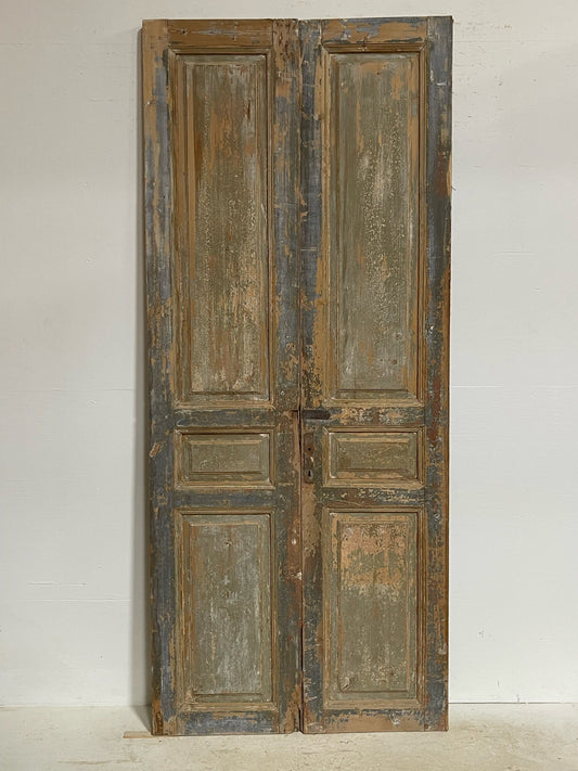 Antique French doors (98.5X42) G0094