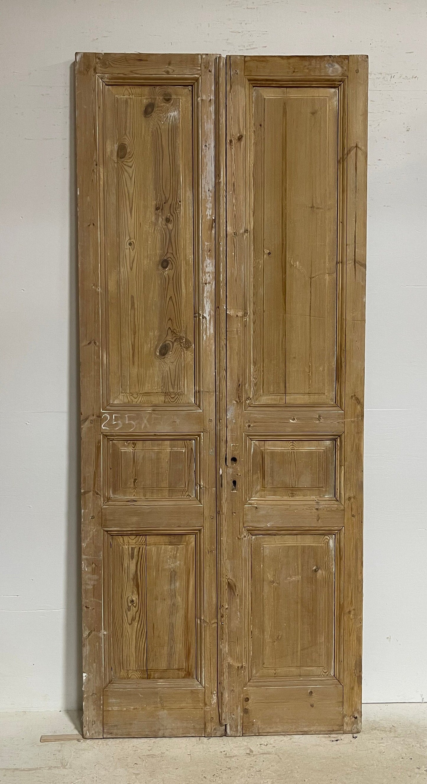 Antique French panel doors (100x42) G0116s