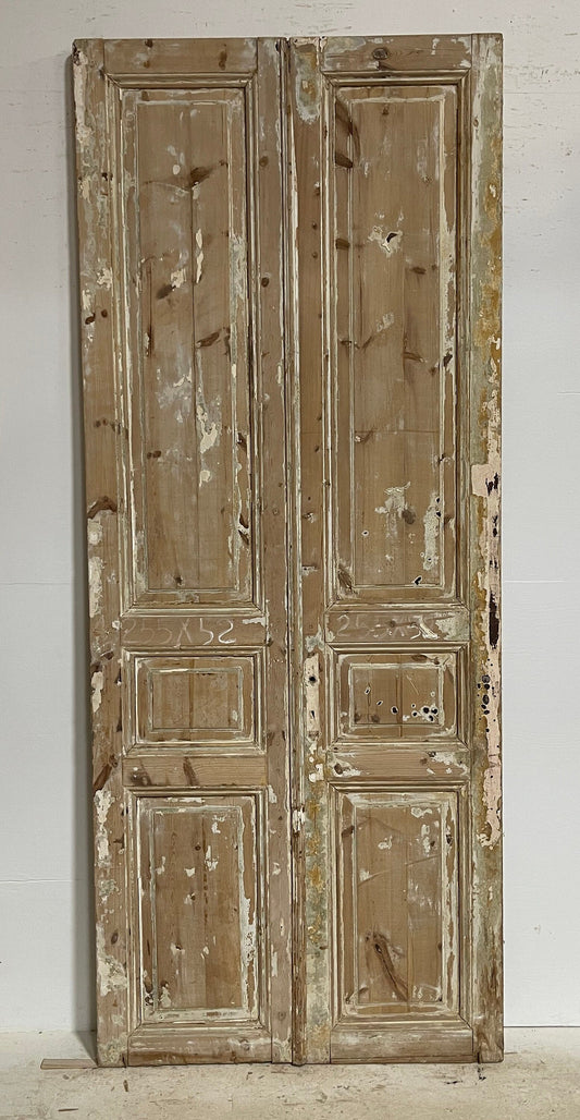 Antique French panel doors (100x41) G0117s