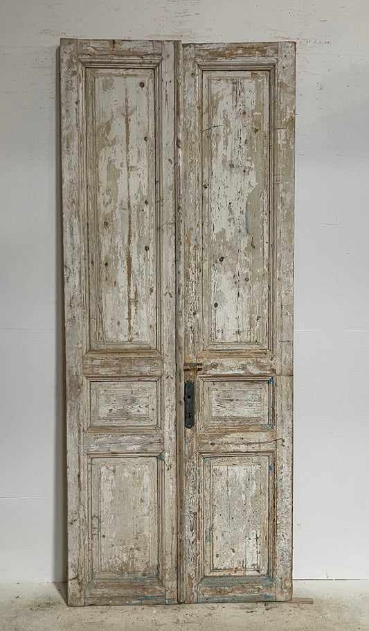 Antique French panel doors (96.75x39.75) G0119s