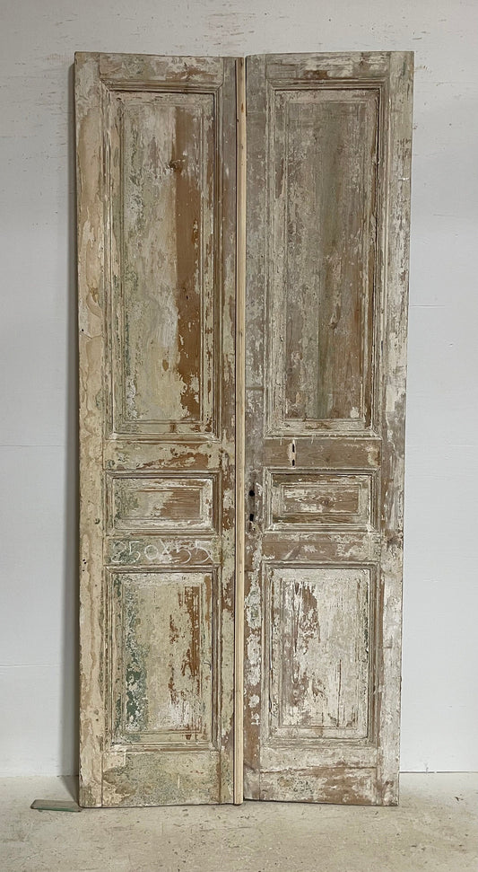 Antique French panel doors (98.25x43) G0140s