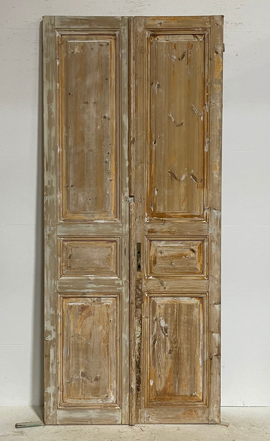 Antique French panel doors (98.5x43) G0143s