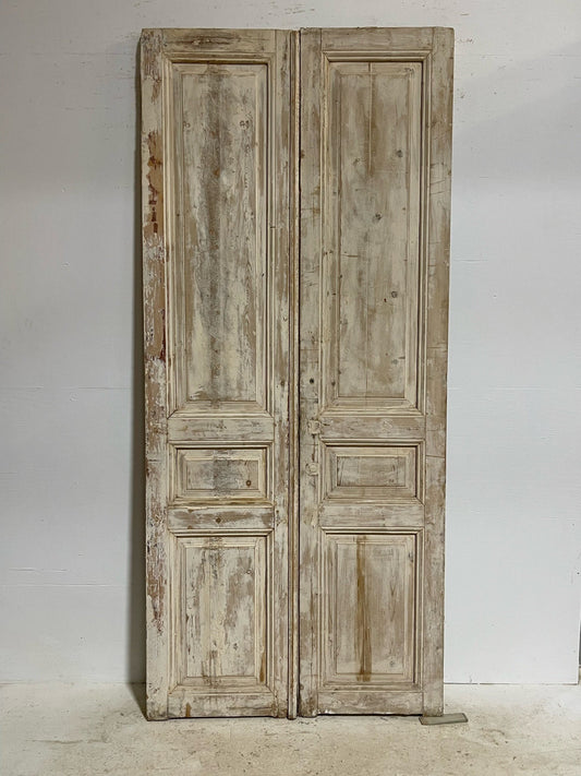 Antique French doors (98.5X43.75) G0110