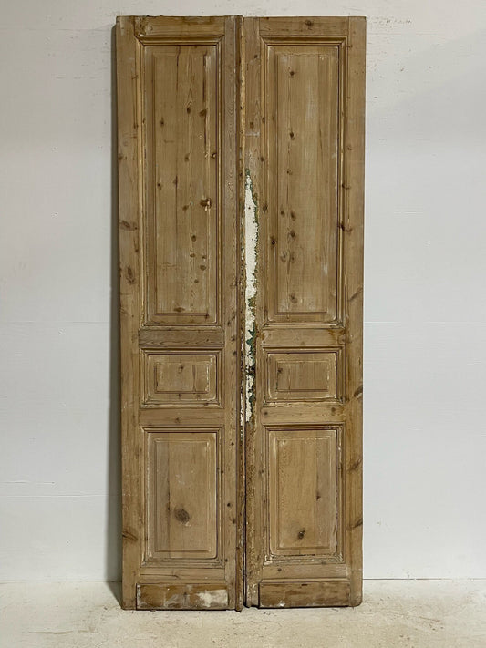 Antique French doors (97.5X40.75) G0109