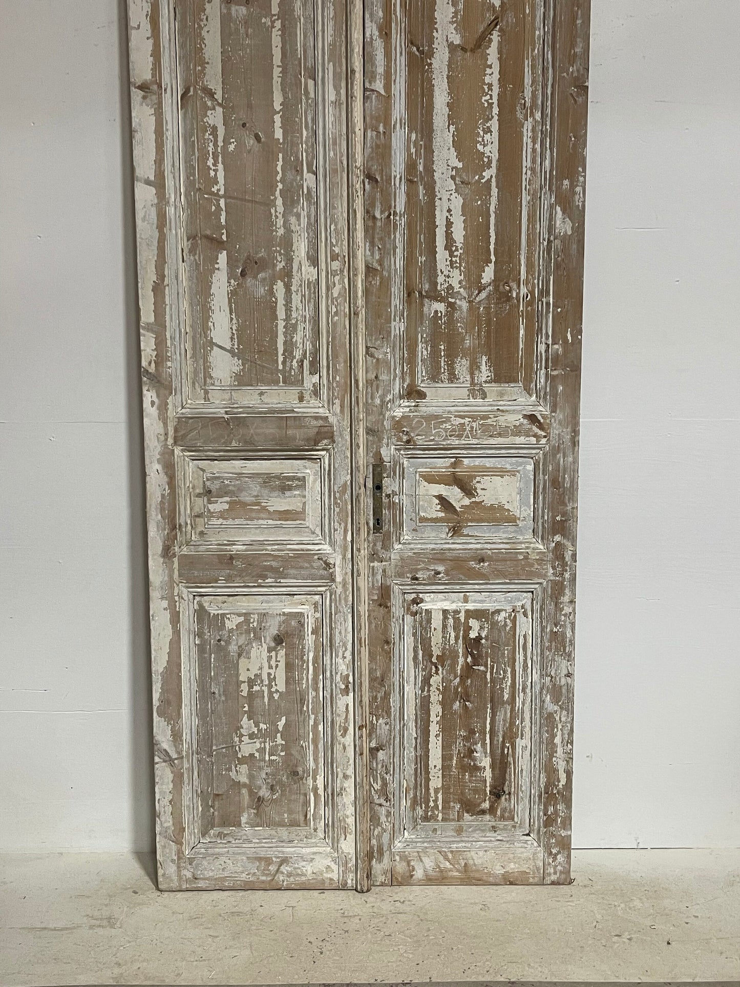 Antique French panel doors (98.5x43.25) G0155s