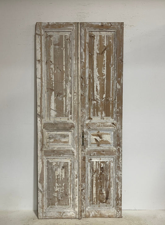 Antique French panel doors (98.5x43.25) G0155s