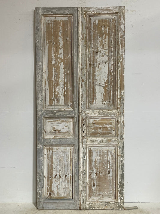 Antique French panel doors (98.5x43.25) G0157s