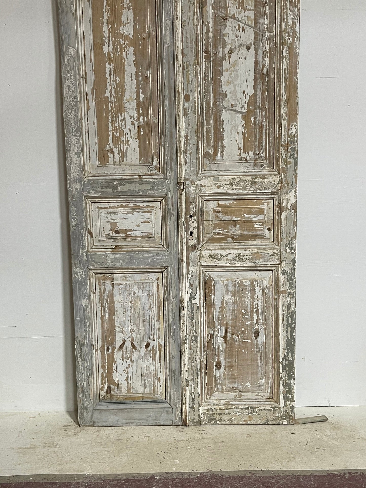 Antique French panel doors (98.5x43.25) G0157s