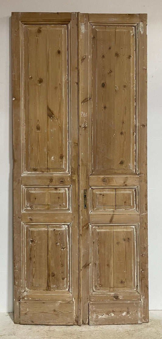 Antique French panel doors (113x49.25) G0050s