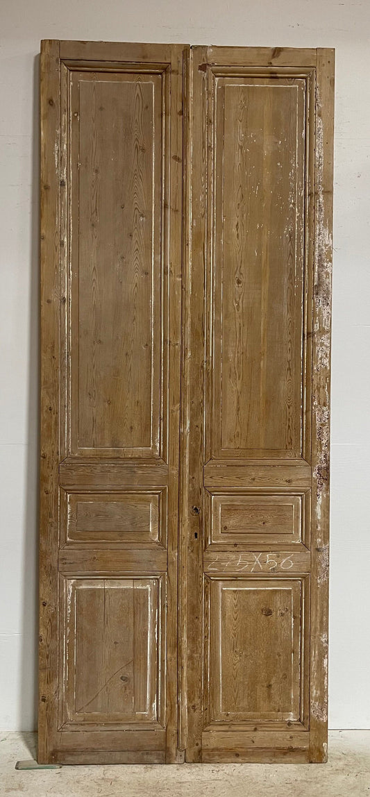 Antique French panel doors (108.5x44) G0051s