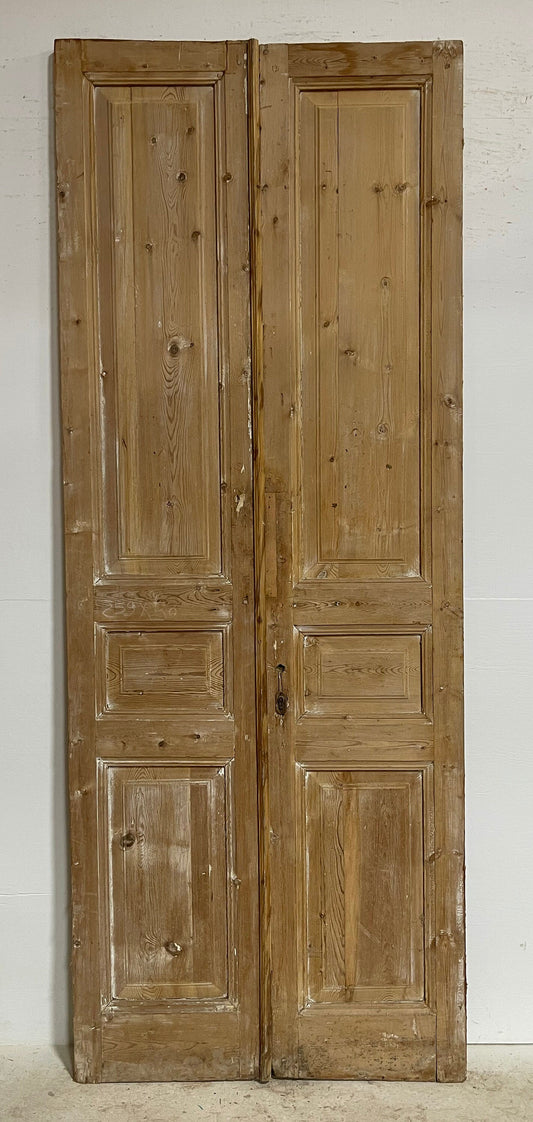 Antique French panel doors (102.5x39.5) G0201s