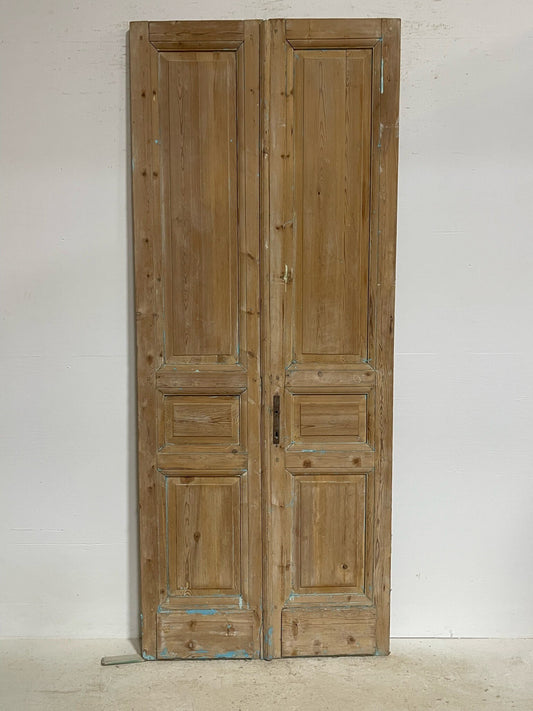 Antique French doors (98X40) G0167