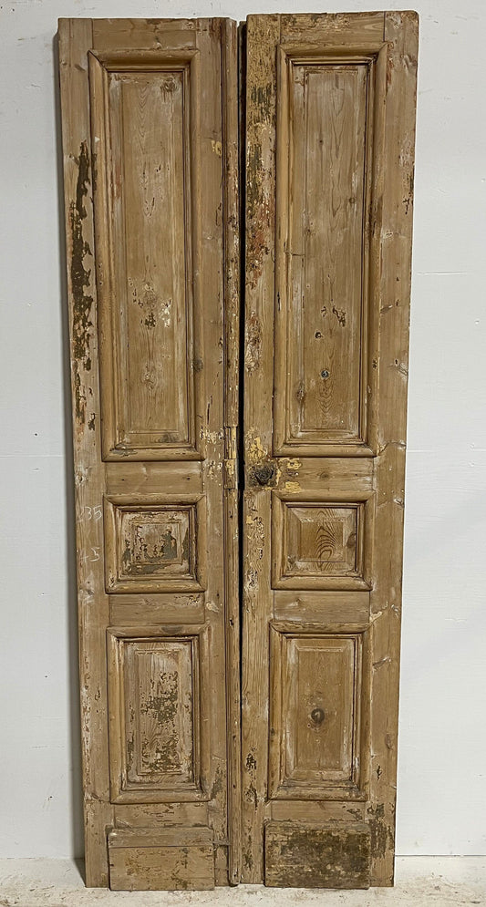 Antique French panel doors (92.5x34.5) H0035s