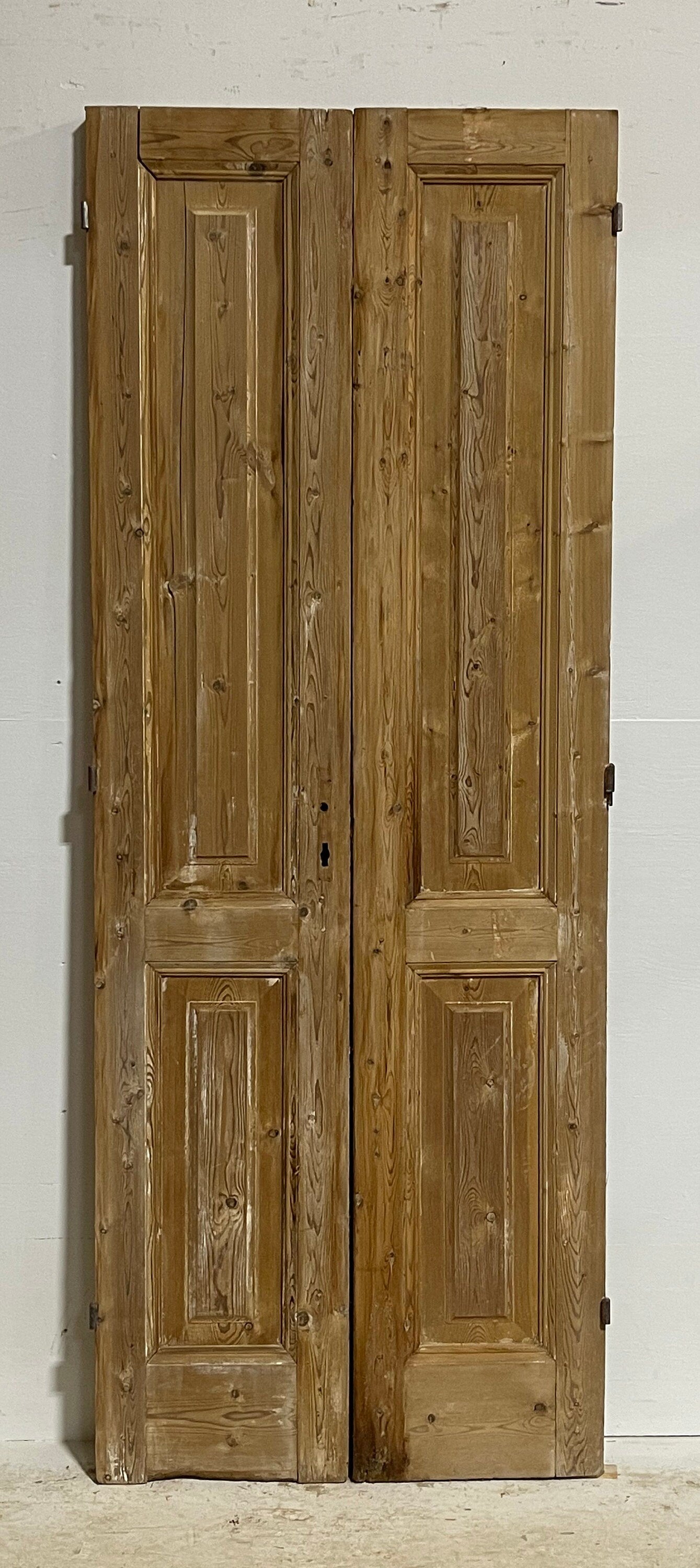 Antique French panel doors (85x32.25) H0045s