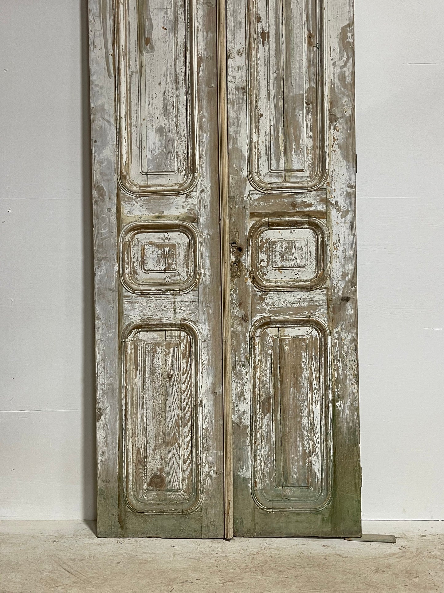 Antique French panel doors (100.5x37) H0052s