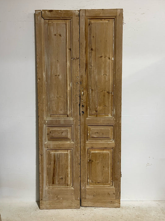 Antique French door (100.5x42.5) H0081