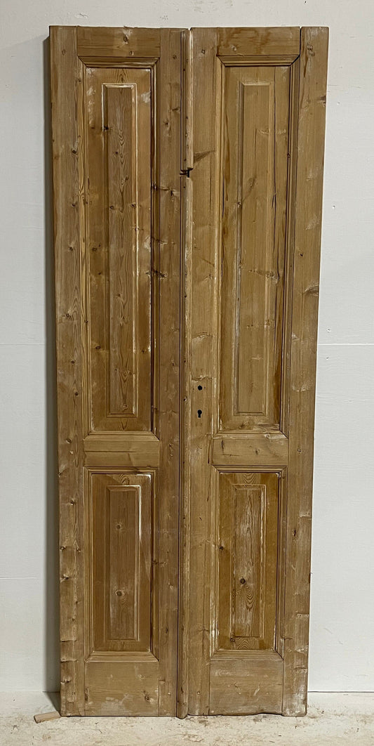 Antique French panel doors (85x32.25) H0045s