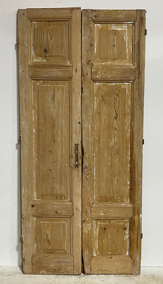 Antique French panel doors (88x37.5) H0056s