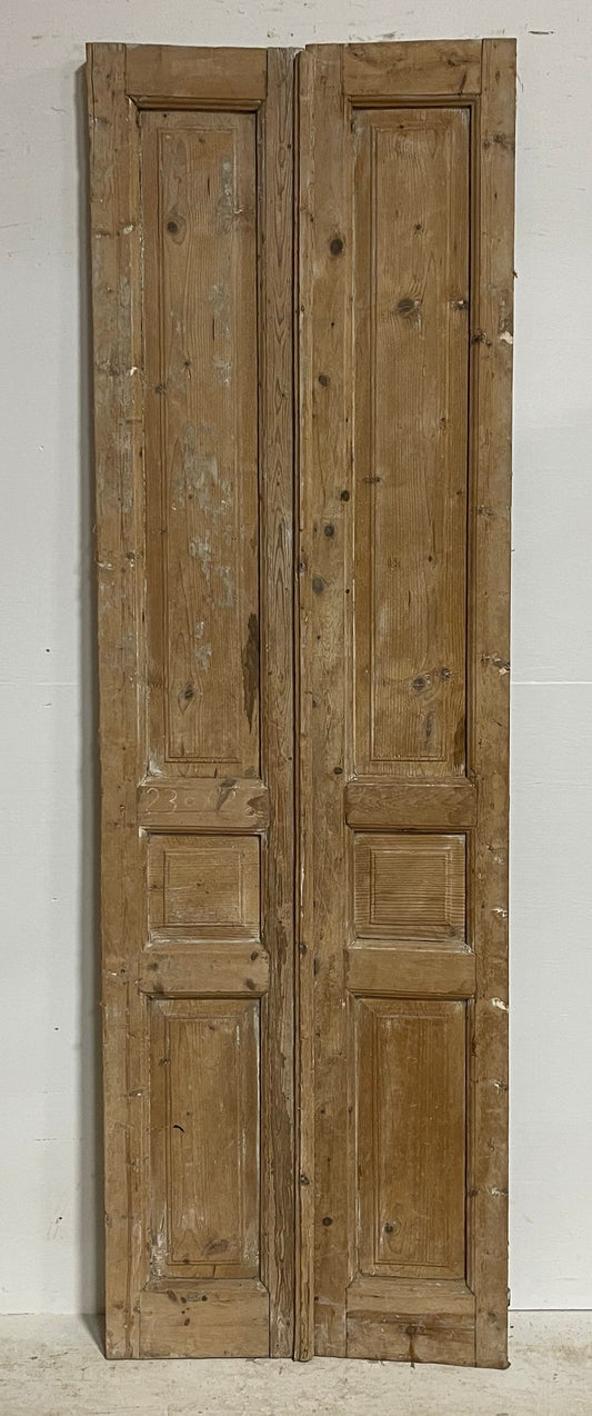 Antique French panel doors (90x28.25) H0028s