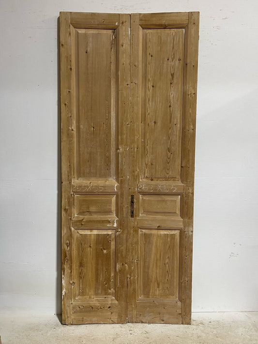 Antique French door (99.75x42.75) H0083