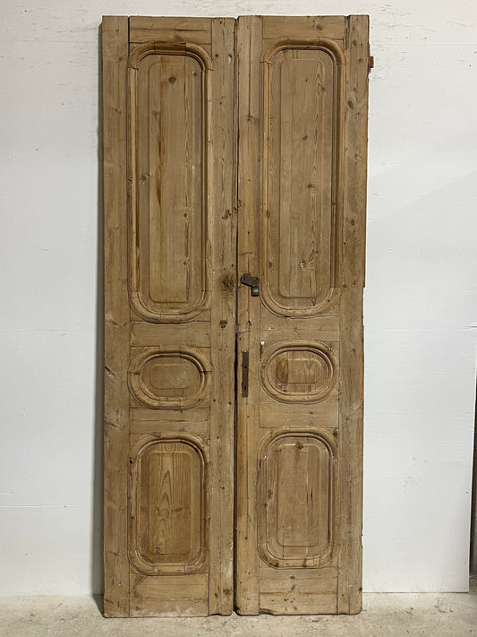 Antique French panel doors (100x43.5) I059s