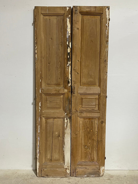 Antique French panel doors (78.5x32.25) I083s