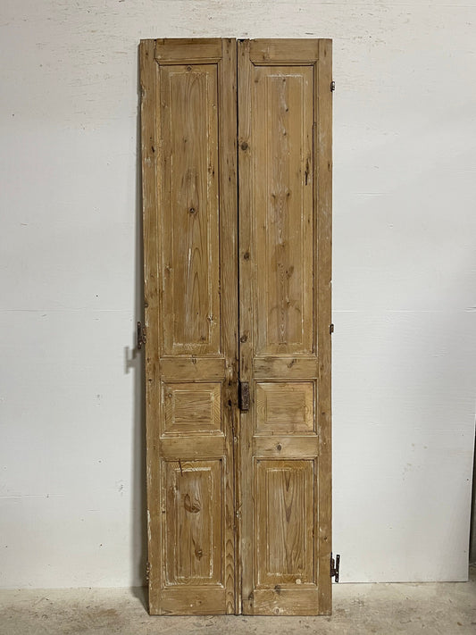 Antique French panel doors (90.5x29.5) I074s