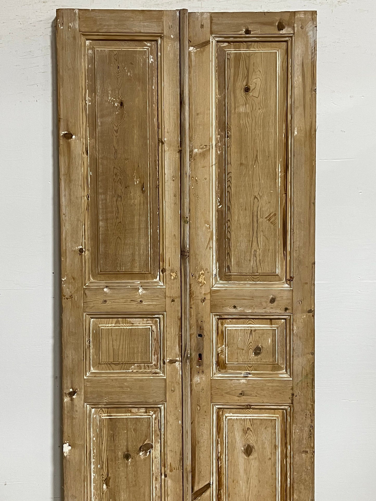 Antique French panel doors (89.38.25) I089s