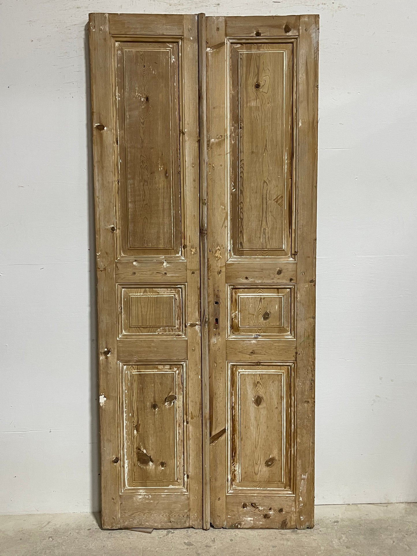 Antique French panel doors (89.38.25) I089s